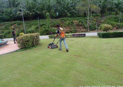 Pemotongan rumput